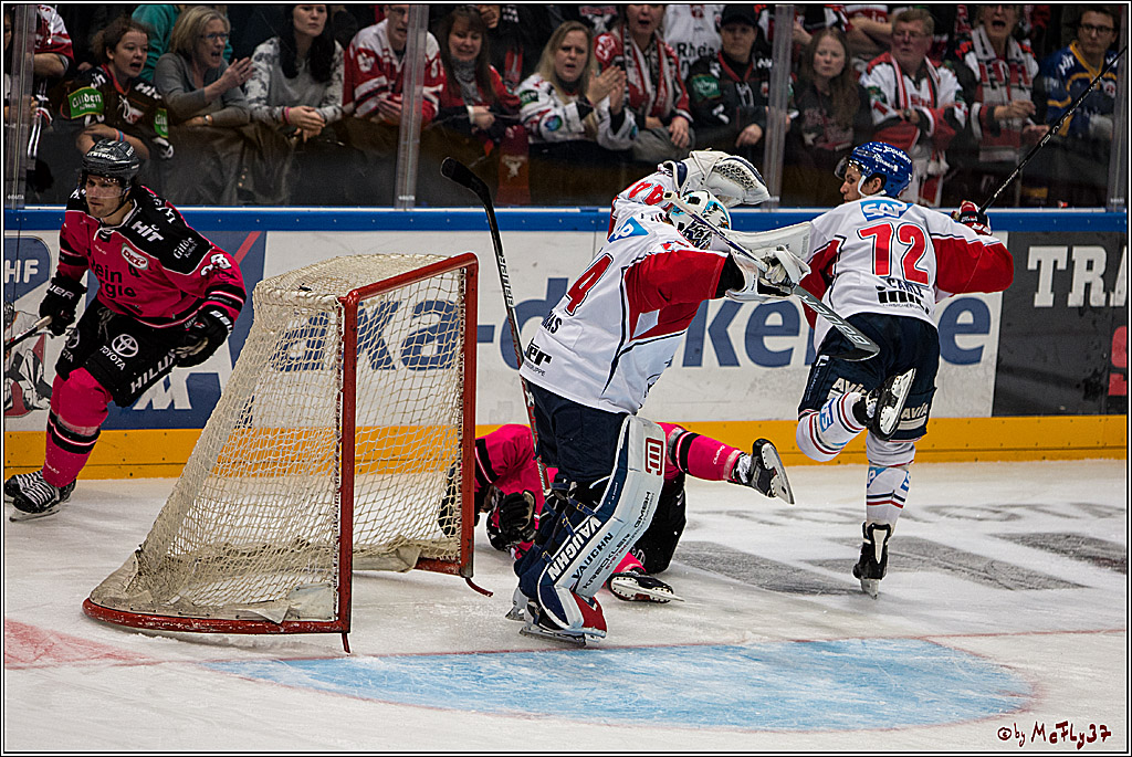 Koelner Haie - Adler Mannheim, 30.10.2016